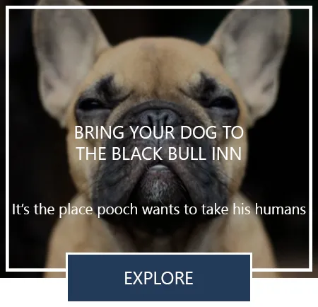 French bulldog: bring your dog to the Black Bull Inn
