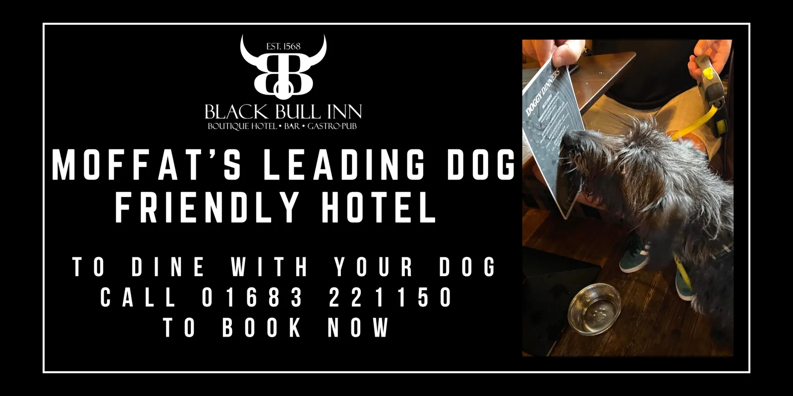 Black Bull Inn banner: Moffat's leading dog friendly hotel, dine with your dog, call 01683 221150